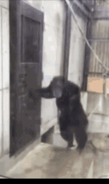Let Me In Annoyed GIF - Let Me In Annoyed Stuck Outside GIFs