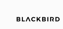 Blackbird Filmes GIF - Blackbird Filmes Produtora GIFs