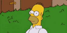 The Simpsons Homer Simpson GIF - The Simpsons Homer Simpson Hide GIFs