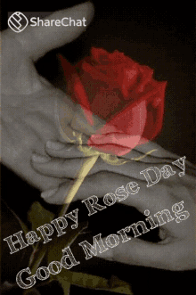 Happy Rose Day Good Morning GIF - Happy Rose Day Good Morning शुभप्रभात GIFs