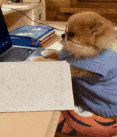 a dog wearing glasses sits at a desk with a laptop