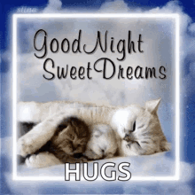 Good Night Sweet Dreams GIF - Good Night Sweet Dreams Cats GIFs