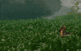 a woman with a backpack is standing in a field with a mountain in the background