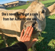 a person petting a cow in a field with the caption she 's never had to get a code from her authenticator app