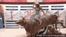 Mickie James Cowgirl GIF - Cowgirl Bull Mickie James GIFs