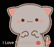 I Love You Mochi Cat Tomato Mochi Cat GIF - I Love You Mochi Cat Tomato Mochi Cat Mochi Cute GIFs