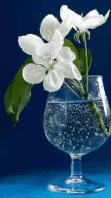 White Flowers GIF - White Flowers Glass GIFs