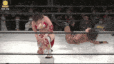 two women are wrestling in a ring with the hashtag #pw_mg on the bottom