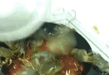 Crabs Cooking GIF