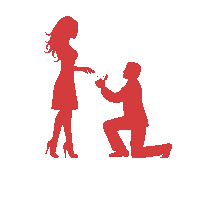 Love Proposal GIFs | Tenor