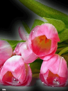 Pink Flower Glittering Pin GIF