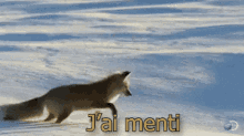 J Ai Menti Fox GIF - J Ai Menti Fox Jump GIFs