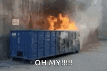 Dumpster Fire Oh My GIF - Dumpster Fire Oh My Burning GIFs