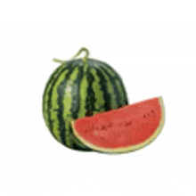 Watermelon GIF
