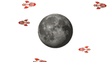 moon rocket inversion fireants