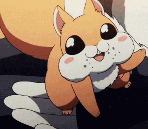 Cute squirrel! | Anime Amino