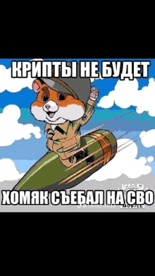 a hamster in a military uniform is riding a bomb