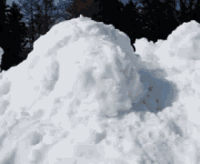 Dog Snowiscoming GIF - Dog Snowiscoming Snow GIFs