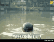 beshombhob thanda gifgari bangla bangladesh bangla cinema