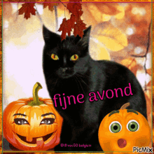 a picture of a black cat and pumpkins that says fijne avond