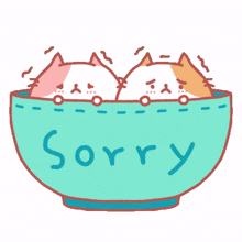 apology excuse me so sorry apologies sorry