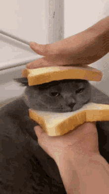 Bread Loaf GIF - Bread Loaf GIFs