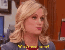 Parks And Recreation Leslie Knope GIF - Parks And Recreation Leslie Knope Whats Your Name GIFs