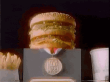 Mcdonalds Fast Food GIF - Mcdonalds Fast Food Fries GIFs