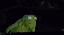 Kermit Shaking Head GIF - Kermit Shaking Head Stressed GIFs