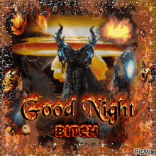a picture of a dragon and the words good night bitch