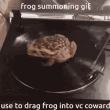 Drag Frog Into Vc Coward Frog Summoning Gif GIF - Drag Frog Into Vc Coward Frog Summoning Gif GIFs