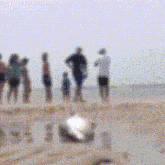 a blurry picture of a group of people standing on a beach near the water