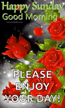 a picture of red roses with the words happy sunday good morning