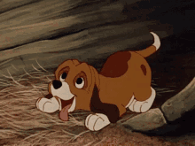 Puppies Funny GIF - Puppies Funny GIFs