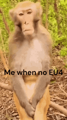 When No Eu4 Eu4 GIF - When No Eu4 Eu4 Monkey GIFs