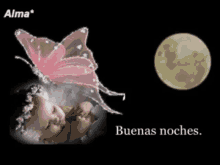 Buenas Noche Mariposa GIF - Buenas Noche Mariposa Luna GIFs