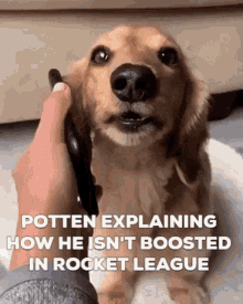 Potten Boosted GIF - Potten Boosted Rocket League GIFs