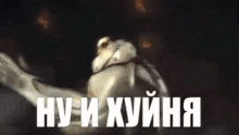 ну и хуйня GIF
