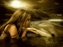 Dolphin Kiss GIF - Dolphin Kiss Sea GIFs