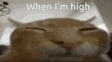 a close up of a cat with the words " when i 'm high " on the bottom