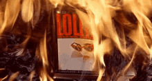 Lolita Burn GIF - Lolita Burn Fire GIFs