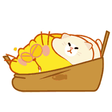 kitty yolk