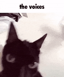 The Voices Cat GIF