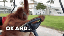 Drive Animal GIF - Drive Animal Cart GIFs