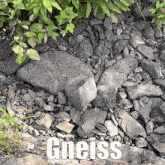 a pile of rocks with the word gneiss in white