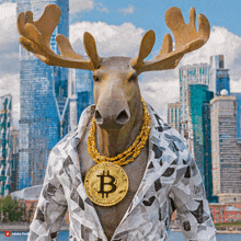Bitmoose Bitcoin GIF - Bitmoose Bitcoin Moose GIFs