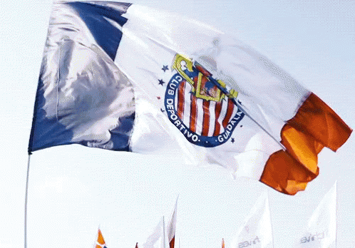 Bandera Chivas logo club deportivo guadalajara