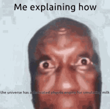 a meme explaining how the universe has a dedicated physics engine