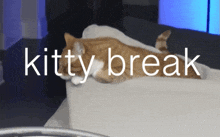 Cat Kitty GIF - Cat Kitty Kitty Break GIFs