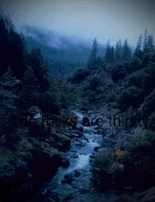 a river runs through a forest with the words " the looks are thirsty " written on the bottom